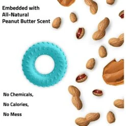 Playology Scented Dual Layer Ring Dog Toy -PetSafe Kong Shop 254296 PT2. AC SS1800 V1628569876