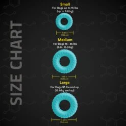 Playology Scented Dual Layer Ring Dog Toy -PetSafe Kong Shop 254296 PT4. AC SS1800 V1628574100