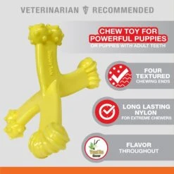 Nylabone Puppy Power Axis Bone Nylon Puppy Chew Toy Vanilla -PetSafe Kong Shop 254713 PT2. AC SS1800 V1661179102