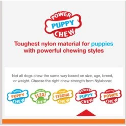 Nylabone Puppy Power Axis Bone Nylon Puppy Chew Toy Vanilla -PetSafe Kong Shop 254713 PT3. AC SS1800 V1696516100