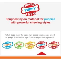 Nylabone Puppy Power Twin Pack Bone Variety Tough Dog Chew Toys -PetSafe Kong Shop 254723 PT4. AC SS1800 V1688155567