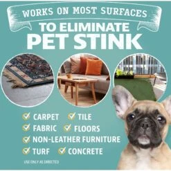 Angry Orange Pet Odor Eliminator Spray, 24-oz Bottle -PetSafe Kong Shop 255245 PT2. AC SS1800 V1669152599