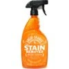 Angry Orange Bio-Enzymatic Pet Stain & Odor Eliminator Spray, 32-oz Bottle