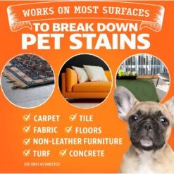 Angry Orange Bio-Enzymatic Pet Stain & Odor Eliminator Spray, 32-oz Bottle -PetSafe Kong Shop 255249 PT2. AC SS1800 V1662586575