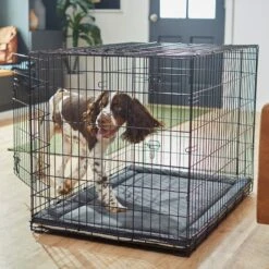 Frisco Self Warming Dog Crate Mat -PetSafe Kong Shop 255337 PT5. AC SS1800 V1616102293