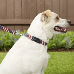 Frisco American Flag Polyester Dog Leash & Frisco American Flag Polyester Dog Collar 6 Frisco American Flag Polyester Dog Leash & Frisco American Flag Polyester Dog Collar -PetSafe Kong Shop 255455 PT2. AC SS1800 V1602706575