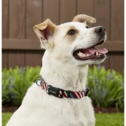 Frisco American Flag Polyester Dog Leash & Frisco American Flag Polyester Dog Collar 7 Frisco American Flag Polyester Dog Leash & Frisco American Flag Polyester Dog Collar -PetSafe Kong Shop 255455 PT4. AC SS1800 V1602706581