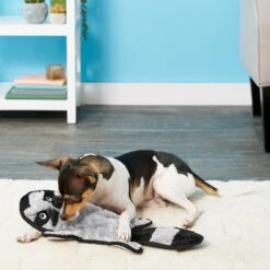 Frisco Alligator Stuffing-Free Flat Plush Squeaky Dog Toy & Frisco Raccoon Stuffing-Free Flat Plush Squeaky Dog Toy 9 Frisco Alligator Stuffing-Free Flat Plush Squeaky Dog Toy & Frisco Raccoon Stuffing-Free Flat Plush Squeaky Dog Toy -PetSafe Kong Shop 255471 PT4. AC SS1800 V1602691287