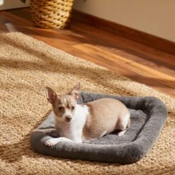 Frisco Fold & Carry Single Door Collapsible Wire Dog Crate & Frisco Quilted Plush Dog Crate Mat -PetSafe Kong Shop 255501 PT4. AC SS1800 V1604097719