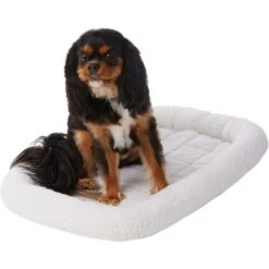 Frisco Heavy Duty Fold & Carry Single Door Collapsible Wire Dog Crate & Frisco Quilted Dog Crate Mat -PetSafe Kong Shop 255551 PT4. AC SS1800 V1604096523