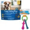 Nylabone Puppy Pacifier Teething Toy Chew Teething Pacifier Bacon & N-Bone Puppy Teething Ring Chicken Flavor Dog Treats