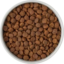 Frisco Ceramic Food Dog & Cat Bowl With Wood Base -PetSafe Kong Shop 256043 PT6. AC SS1800 V1615311151