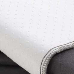 Brindle Washable Puppy Training Pad, 2 Count -PetSafe Kong Shop 256171 PT3. AC SS1800 V1640223423