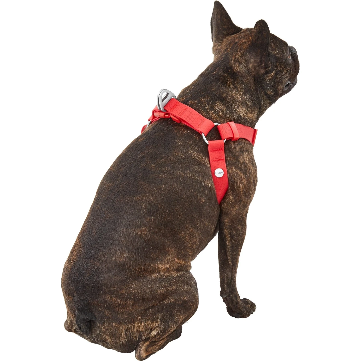 Frisco Outdoor Solid Textured Waterproof Stink Proof PVC Dog Harness 4 Frisco Outdoor Solid Textured Waterproof Stink Proof PVC Dog Harness - Image 4