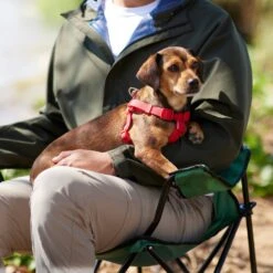 Frisco Outdoor Solid Textured Waterproof Stink Proof PVC Dog Harness 9 Frisco Outdoor Solid Textured Waterproof Stink Proof PVC Dog Harness -PetSafe Kong Shop 256518 PT5. AC SS1800 V1625587387