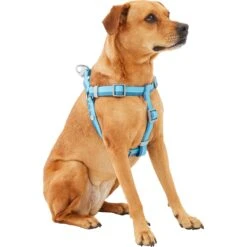 Frisco Outdoor Two Tone Waterproof Stinkproof PVC Dog Harness -PetSafe Kong Shop 256580 PT2. AC SS1800 V1625164701