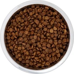 Frisco Black Iron Non-Skid Stainless Steel Dog & Cat Bowl 12 Frisco Black Iron Non-Skid Stainless Steel Dog & Cat Bowl -PetSafe Kong Shop 257152 PT4. AC SS1800 V1615311427