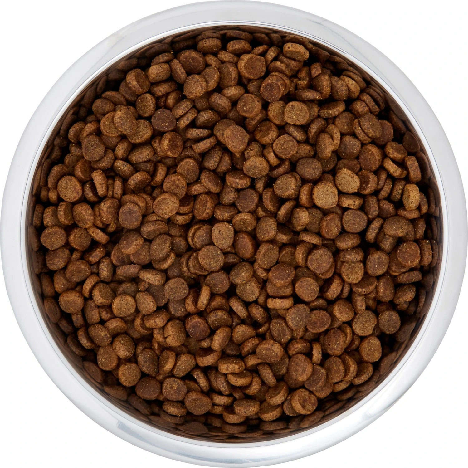 Frisco Black Iron Non-Skid Stainless Steel Dog & Cat Bowl 5 Frisco Black Iron Non-Skid Stainless Steel Dog & Cat Bowl - Image 5