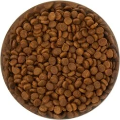 Frisco Flare Non-Skid Stainless Steel Dog & Cat Bowl 13 Frisco Flare Non-Skid Stainless Steel Dog & Cat Bowl -PetSafe Kong Shop 257162 PT4. AC SS1800 V1612366692