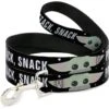Buckle-Down Star Wars Baby Yoda The Child Chibi Polyester Standard Dog Leash