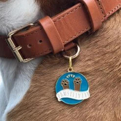 Two Tails Pet Company Pawsitvity Personalized Dog & Cat ID Tag, Green 9 Two Tails Pet Company Pawsitvity Personalized Dog & Cat ID Tag, Green -PetSafe Kong Shop 258426 PT3. AC SS1800 V1604008004