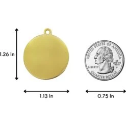 Two Tails Pet Company Lightning Bolt Personalized Dog & Cat ID Tag -PetSafe Kong Shop 258431 PT2. AC SS1800 V1617698195