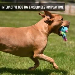 Hyper Pet Doggie Pal Unicorn Squeaky Interactive Plush Dog Toy -PetSafe Kong Shop 258938 PT3. AC SS1800 V1605914537