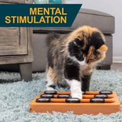 OurPets Sushi Treat Dispensing Puzzle Dog & Cat Toy -PetSafe Kong Shop 258947 PT2. AC SS1800 V1605883630