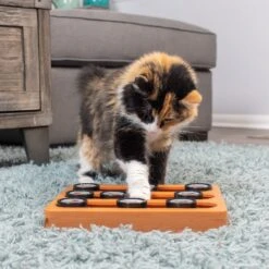 OurPets Sushi Treat Dispensing Puzzle Dog & Cat Toy -PetSafe Kong Shop 258947 PT4. AC SS1800 V1605919339