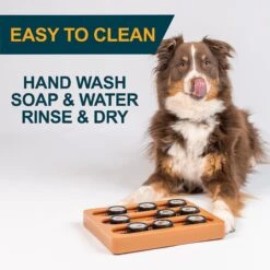 OurPets Sushi Treat Dispensing Puzzle Dog & Cat Toy -PetSafe Kong Shop 258947 PT6. AC SS1800 V1605915434