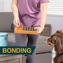 OurPets Sushi Treat Dispensing Puzzle Dog & Cat Toy -PetSafe Kong Shop 258947 PT7. AC SS1800 V1605917811