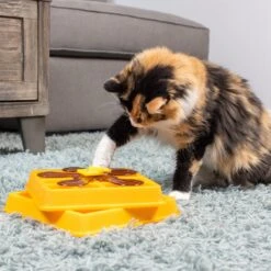 OurPets Waffle Squeaky Treat Dispensing Puzzle Dog & Cat Toy -PetSafe Kong Shop 258949 PT3. AC SS1800 V1605920834