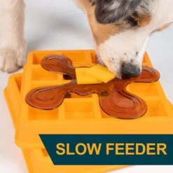 OurPets Waffle Squeaky Treat Dispensing Puzzle Dog & Cat Toy -PetSafe Kong Shop 258949 PT4. AC SS1800 V1605915728