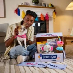 Goody Box Birthday Dog Toys & Treats, X-Small/Small -PetSafe Kong Shop 258999 PT2. AC SS1800 V1676045587