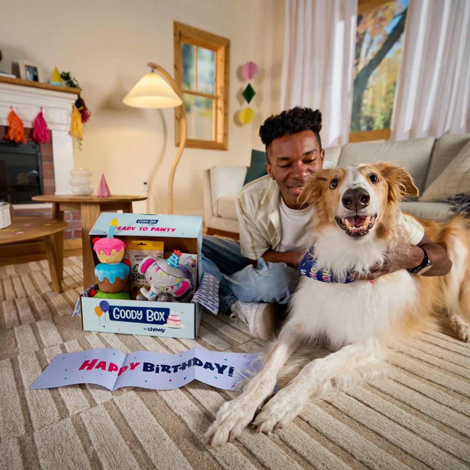 Goody Box Birthday Dog Toys & Treats 3 Goody Box Birthday Dog Toys & Treats - Image 3