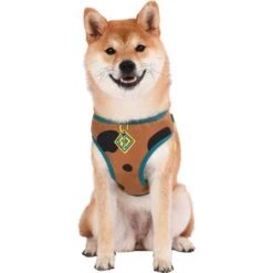 Fetch For Pets Scooby Doo Basic Dog Harness