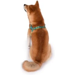 Fetch For Pets Scooby Doo Basic Dog Harness -PetSafe Kong Shop 259050 PT4. AC SS1800 V1604528203