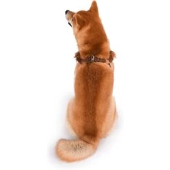 Fetch For Pets Star Wars Chewbacca Basic Dog Harness -PetSafe Kong Shop 259053 PT4. AC SS1800 V1604529706