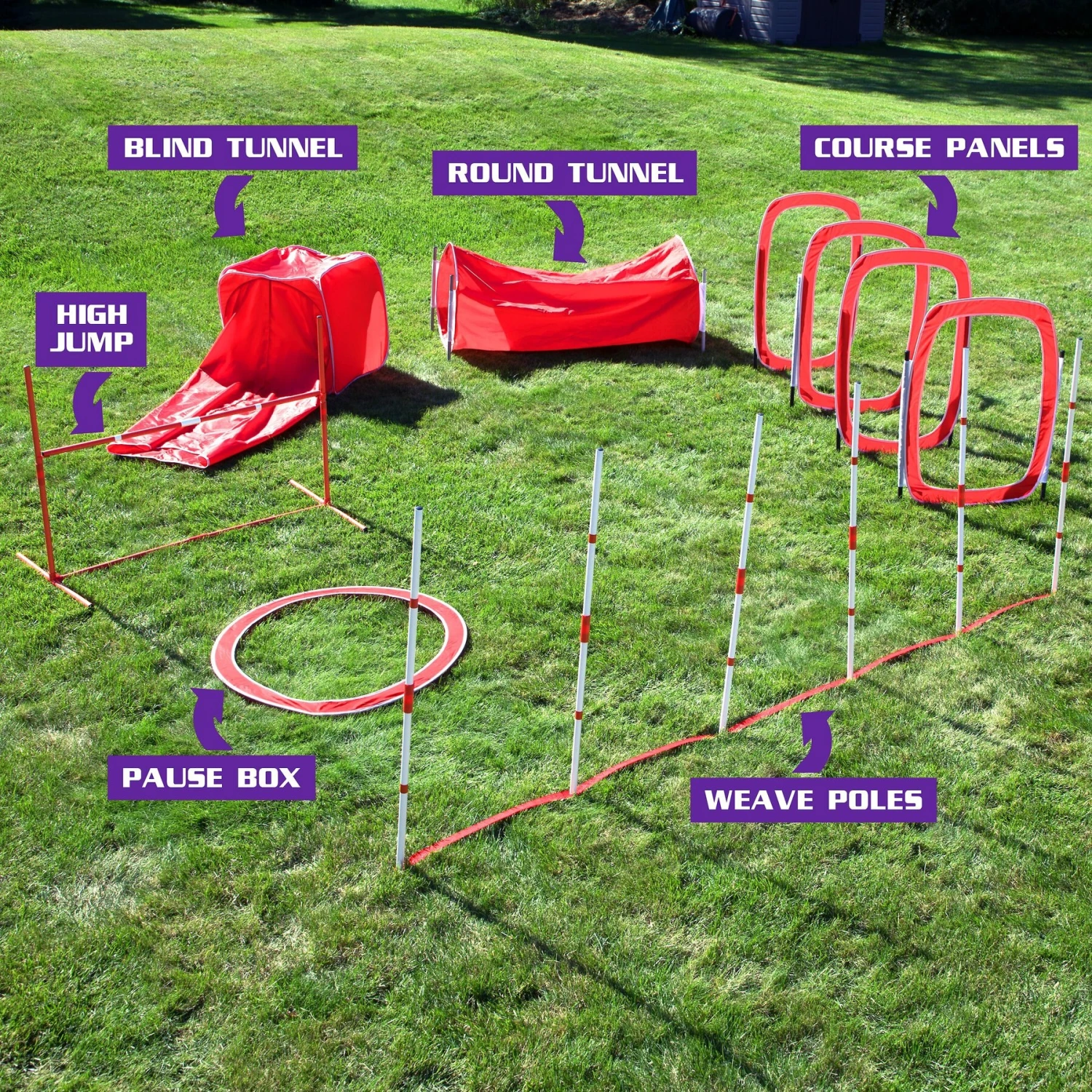 SP Dog 6 Piece Agility Kit 2 SP Dog 6 Piece Agility Kit - Image 2