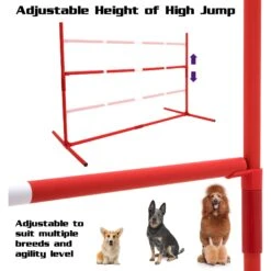 SP Dog 6 Piece Agility Kit 7 SP Dog 6 Piece Agility Kit -PetSafe Kong Shop 259296 PT3. AC SS1800 V1607007762