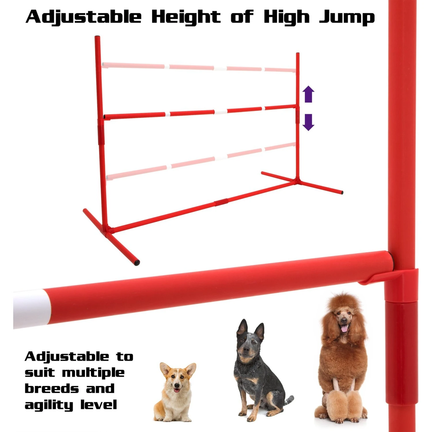 SP Dog 6 Piece Agility Kit 4 SP Dog 6 Piece Agility Kit - Image 4