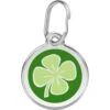 Red Dingo Clover Stainless Steel Personalized Dog & Cat ID Tag, Green