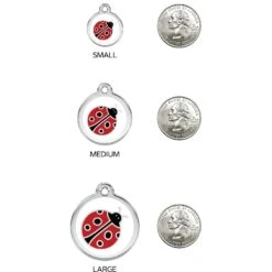 Red Dingo Lady Bug Stainless Steel Personalized Dog & Cat ID Tag -PetSafe Kong Shop 260299 PT8. AC SS1800 V1617686206