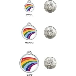 Red Dingo Rainbow Stainless Steel Personalized Dog & Cat ID Tag -PetSafe Kong Shop 260452 PT8. AC SS1800 V1617687406