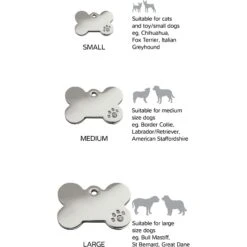 Red Dingo Bone Crystal Diamante Stainless Steel Personalized Dog ID Tag -PetSafe Kong Shop 260777 PT6. AC SS1800 V1623975453