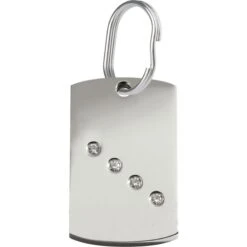 Red Dingo Rectangle Crystal Diamante Stainless Steel Personalized Dog & Cat ID Tag