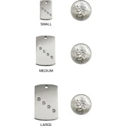 Red Dingo Rectangle Crystal Diamante Stainless Steel Personalized Dog & Cat ID Tag -PetSafe Kong Shop 260791 PT8. AC SS1800 V1617698219