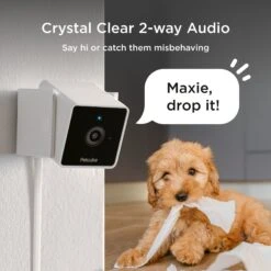 Petcube Cam HD Monitoring With Vet Chat Pet Camera -PetSafe Kong Shop 261294 PT2. AC SS1800 V1605595621