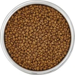 Frisco Insulated Non-Skid Flair Stainless Steel Dog & Cat Bowl 13 Frisco Insulated Non-Skid Flair Stainless Steel Dog & Cat Bowl -PetSafe Kong Shop 261753 PT4. AC SS1800 V1623937583