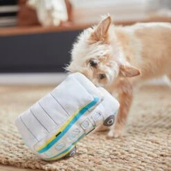 Frisco Road Trip Camper Van Plush Squeaky Dog Toy -PetSafe Kong Shop 261984 PT3. AC SS1800 V1618598313